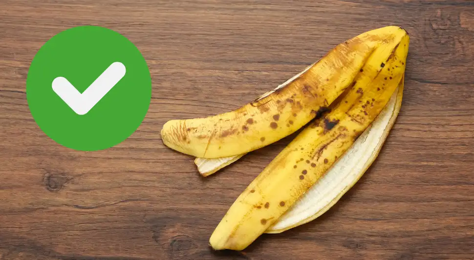 Cáscara de plátano: tips Cáscara de plátano: tips