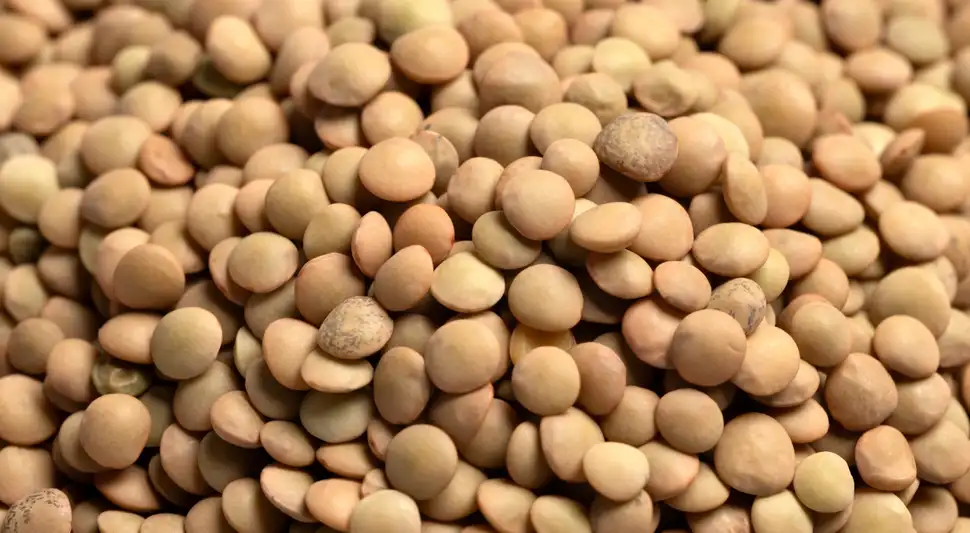 Este truco te ayudará a obtener un plato delicioso de lentejas. Foto: Buenazo / Shutterstock Este truco te ayudará a obtener un plato delicioso de lentejas. Foto: Buenazo / Shutterstock