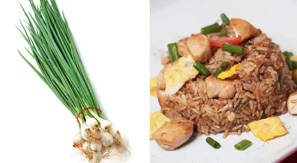 Alimentos para reemplazar la cebolla china y evitar intoxicación por pesticidas. Foto: Buenazo / Shutterstock Alimentos para reemplazar la cebolla china y evitar intoxicación por pesticidas. Foto: Buenazo / Shutterstock