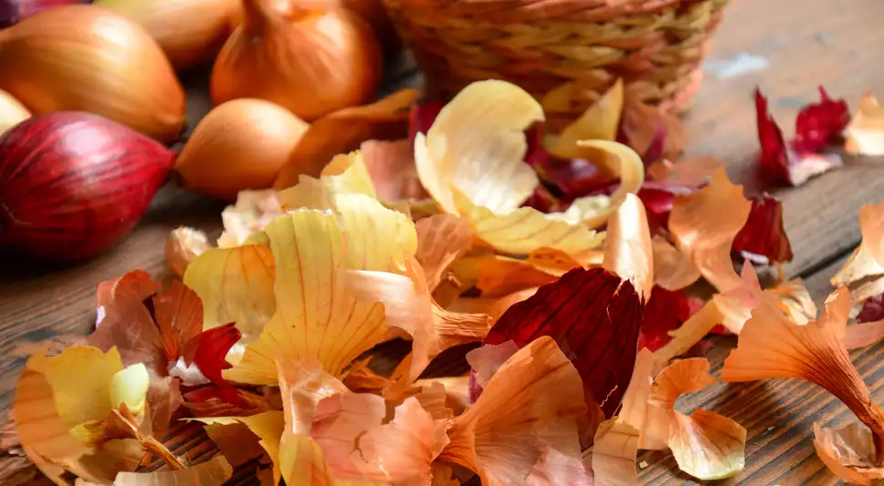 La cáscara de la cebolla puede utilizarse para las recetas y realzar el sabor. Foto: Buenazo / Shutterstock La cáscara de la cebolla puede utilizarse para las recetas y realzar el sabor. Foto: Buenazo / Shutterstock