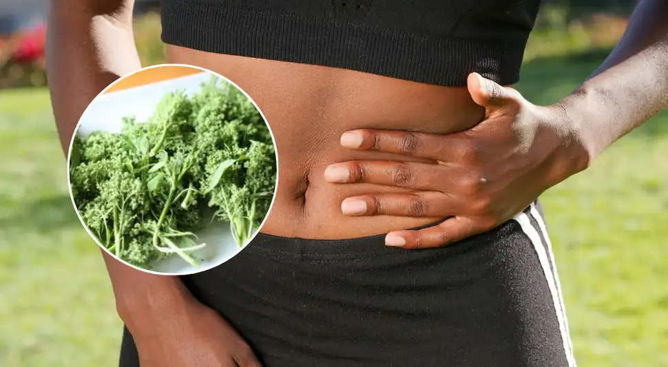 Este súper alimento, es rico en proteínas, calcio y vitaminas A, C y B. Fuente: Composición LR.