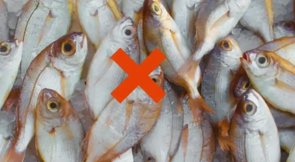 El pescado es un insumo esencial en platos como el ceviche y la parihuela, rico en omega-3, proteínas y vitaminas. Fuente: ComposiciónLR.