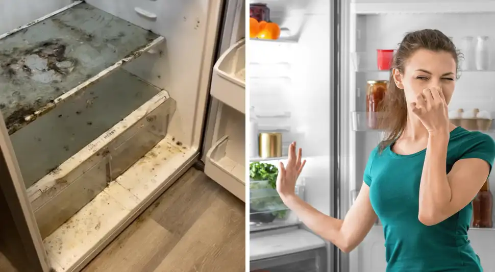 ¿Cómo eliminar el mal olor de la refrigeradora? ¿Cómo eliminar el mal olor de la refrigeradora?