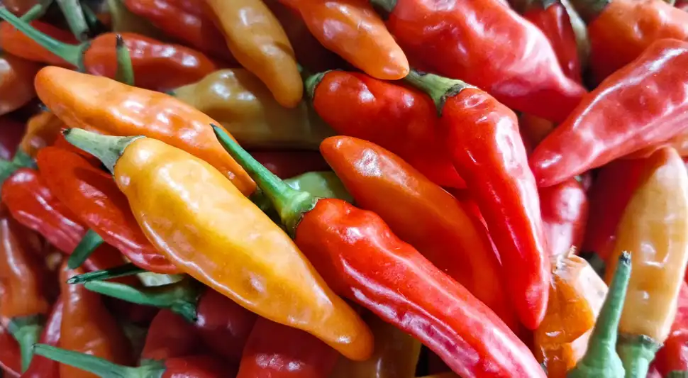 El consumo de ají previene diversas enfermedades. Foto: Buenazo / Shutterstock El consumo de ají previene diversas enfermedades. Foto: Buenazo / Shutterstock