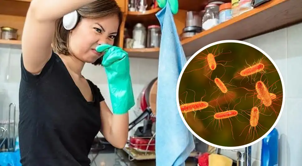 cómo limpiar tus paños de cocina