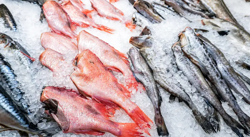 ¿El pescado congelado es igual de bueno que el fresco? Esto reveló reconocido chef.