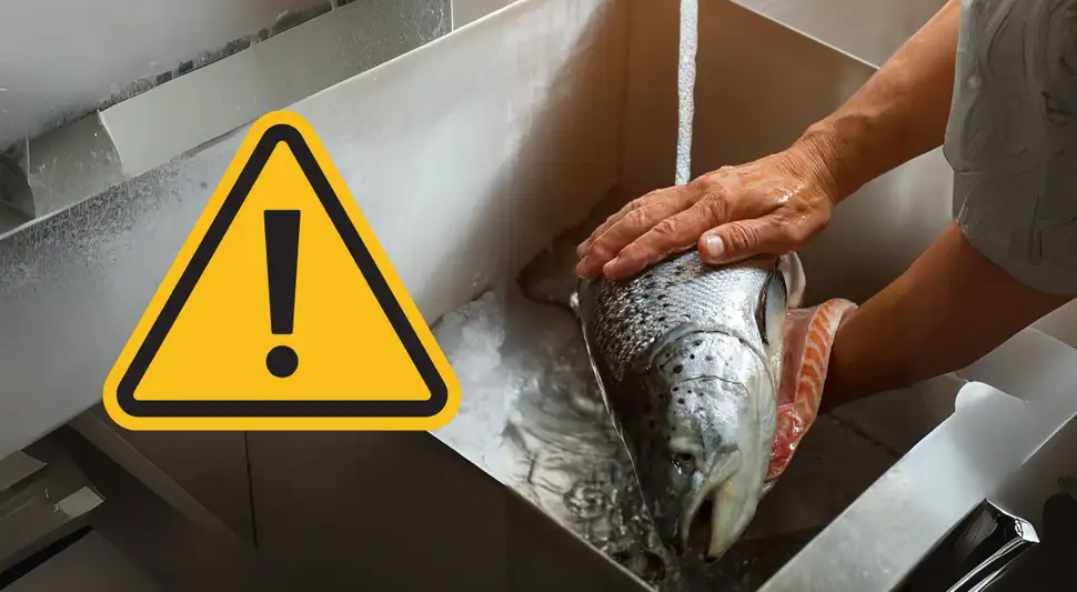 Error al freír pescado Error al freír pescado