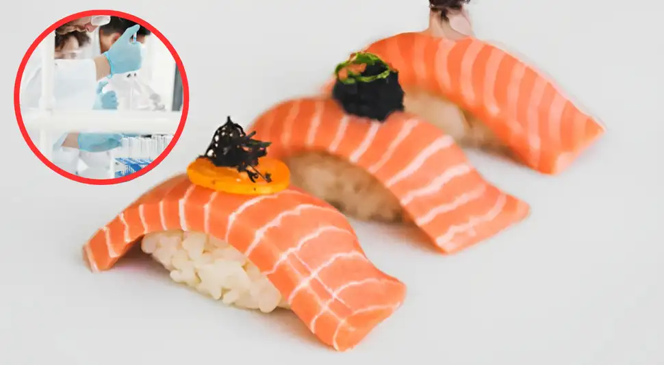 El primer salmón creado en un laboratorio.