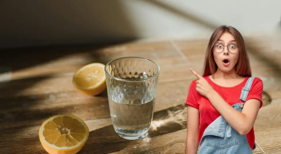 Se recomienda consumir un vaso diario, siempre bajo la supervisión de un profesional de salud. Fuente: ComposiciónLR.