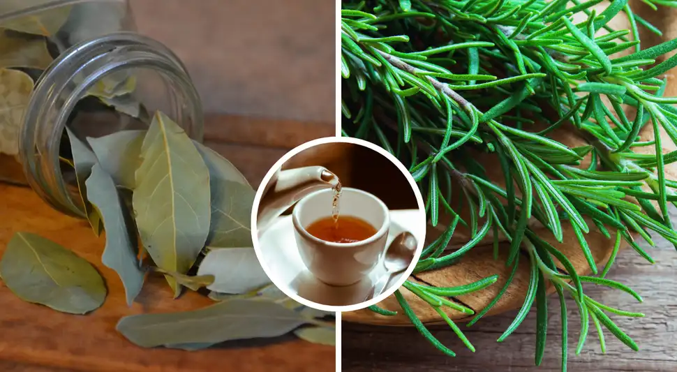 Una taza de té natural que puede ayudarte a reducir el estrés y mejorar la concentración. Una taza de té natural que puede ayudarte a reducir el estrés y mejorar la concentración.