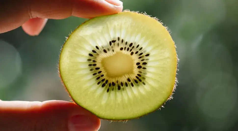 ¿Quieres sembrar semillas de kiwi? Este es el paso a paso necesario. Fuente: Pexels.