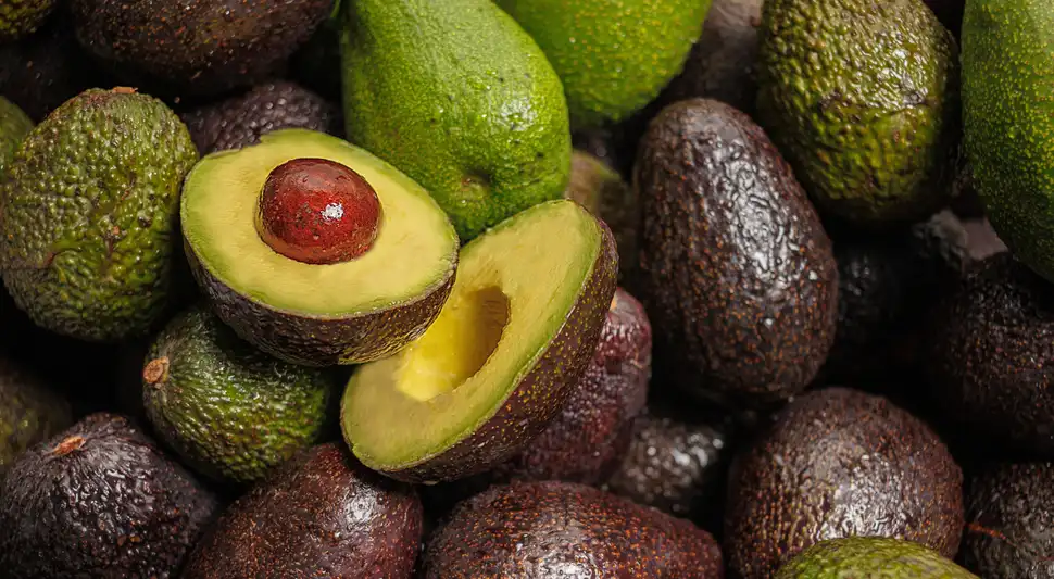 Palta peruana es investigada por contener altos niveles de cadmio.