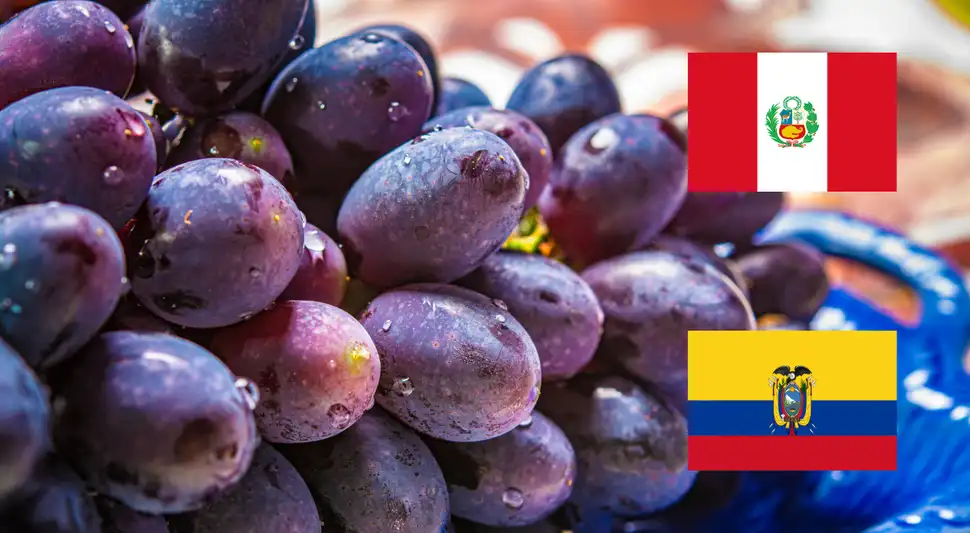Se hallaron importaciones de uvas peruanas con pesticidas.