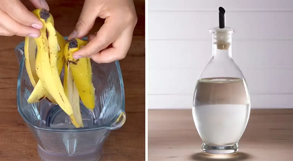Mezcla de cáscara de plátano y vinagre.