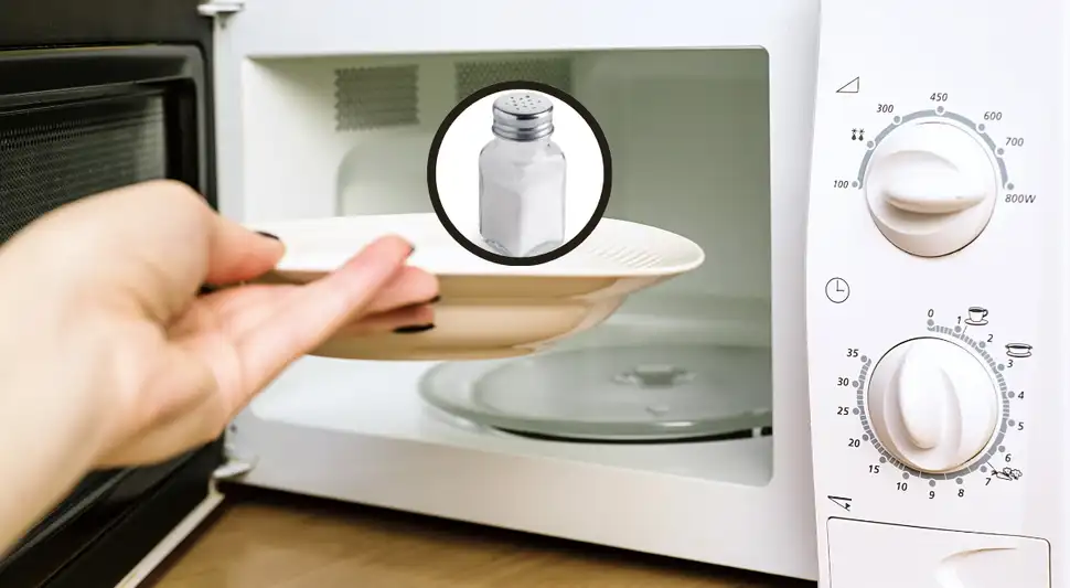 Por qué recomiendan poner sal en el microondas.