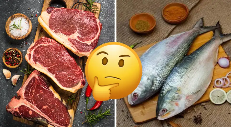 ¿Carne o pescado? ¿Carne o pescado?