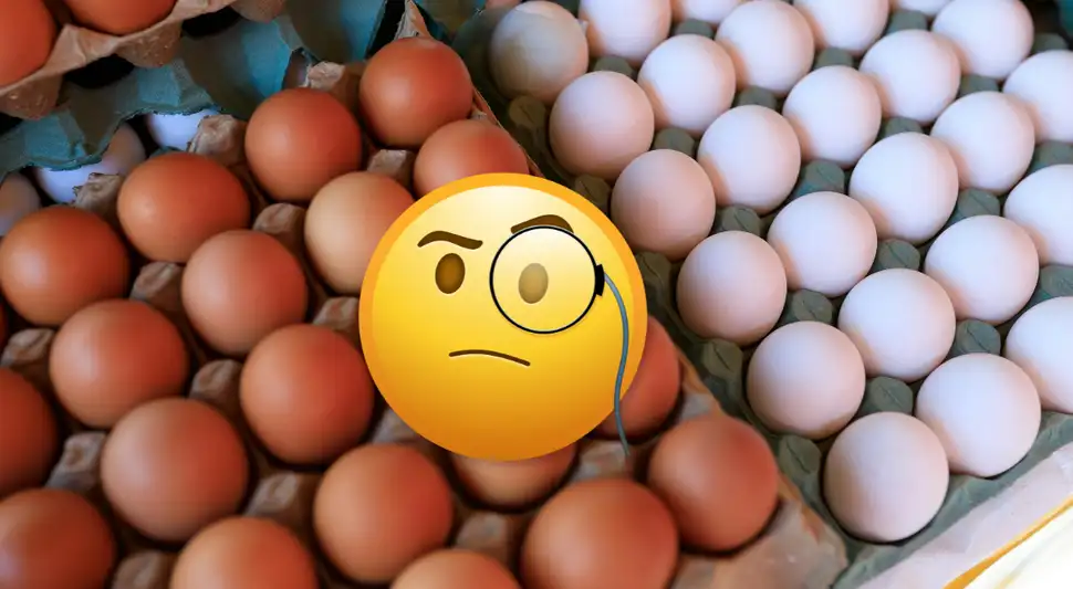 Huevo blanco vs huevo marrón