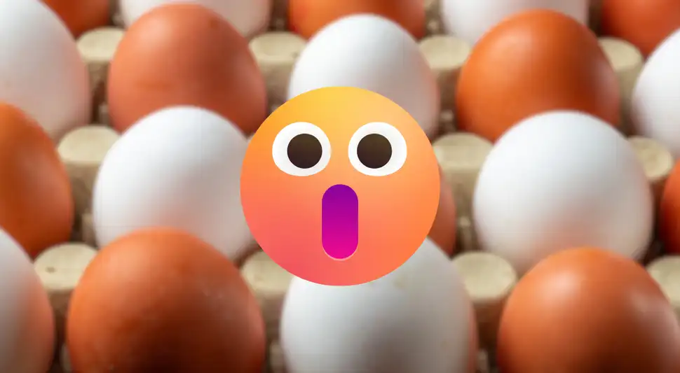 Conoce cuál es la diferencia entre un huevo de cáscara blanca y otro de cáscara marrón. Fuente: ComposiciónLR. Conoce cuál es la diferencia entre un huevo de cáscara blanca y otro de cáscara marrón. Fuente: ComposiciónLR.