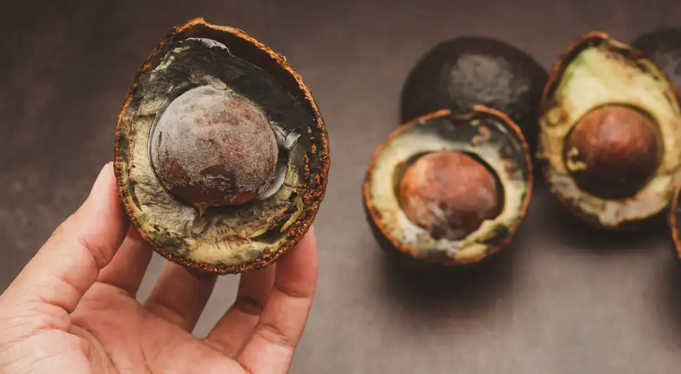 Trucos para evitar que la palta se negree.