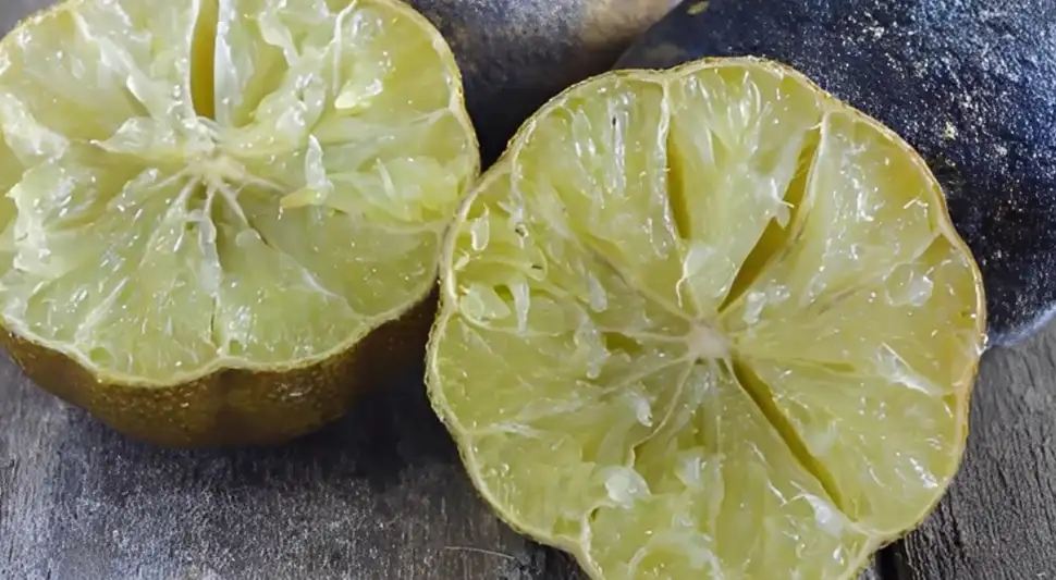 Cómo evitar que los limones se sequen.