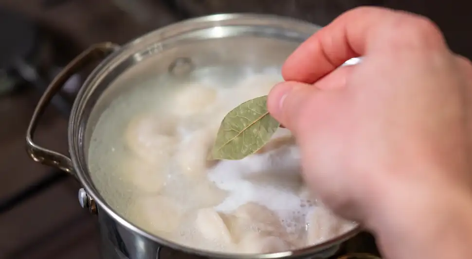 Los beneficios de hervir hojas de laurel. Los beneficios de hervir hojas de laurel.