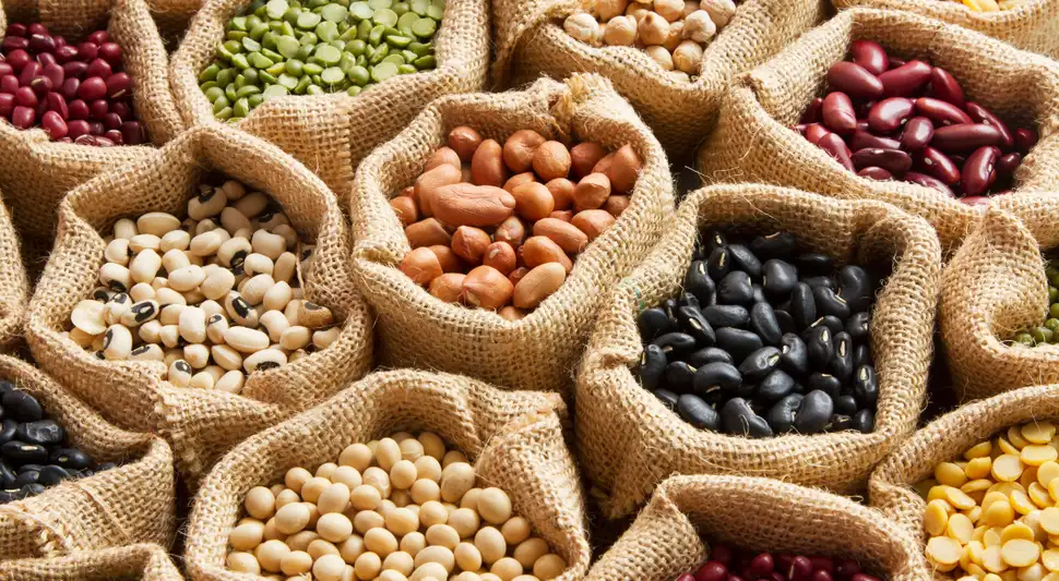 Comer legumbres varias veces por semana ayuda a mantener una dieta equilibrada y económica.