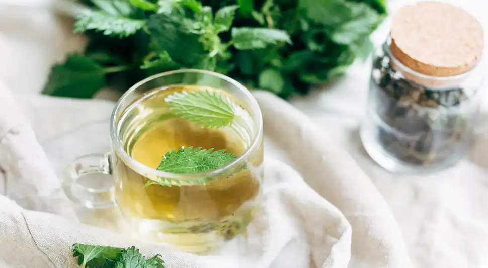 Beneficios del té de ortiga.