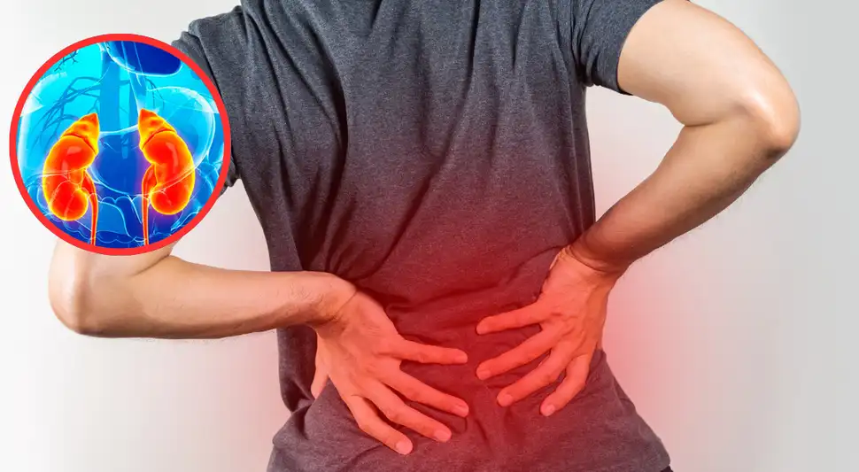 Los alimentos que dañan los riñones.