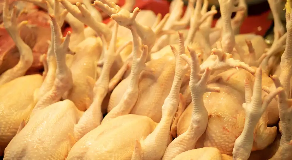 Retiran kilos de pollo por contaminación con metal Retiran kilos de pollo por contaminación con metal