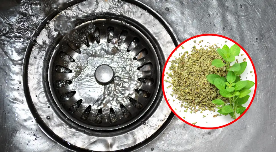 El condimento de tu cocina podría ser la solución al mal olor del caño.