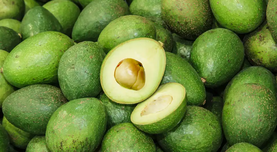 Este país latinoamericano se adueña del mercado mundial de aguacate