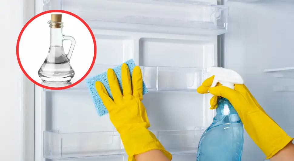 Este truco casero con vinagre que es viral.