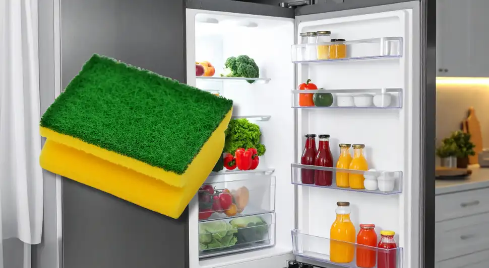 Una esponja seca puede evitar moho y malos olores en la refrigeradora. Una esponja seca puede evitar moho y malos olores en la refrigeradora.