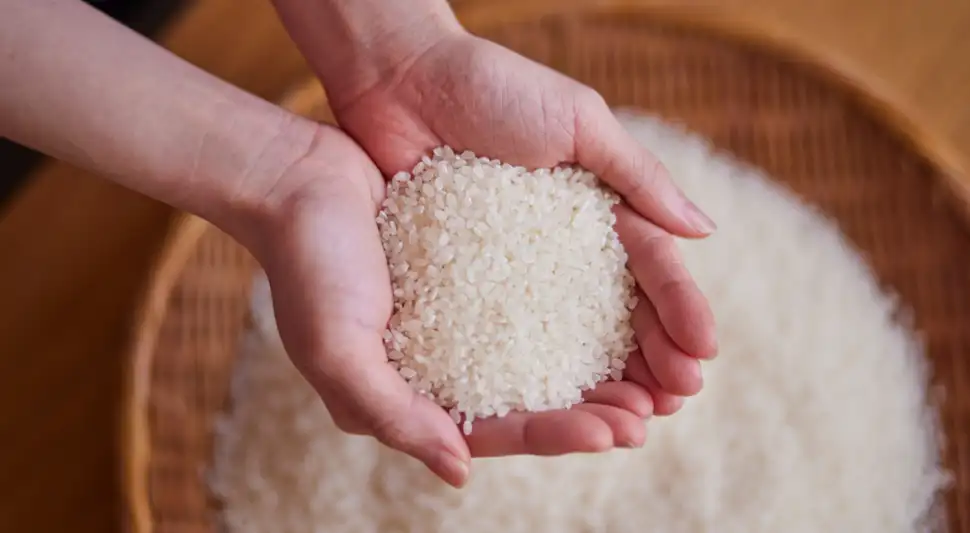 El país de Latinoamérica que más produce y consume arroz en el mundo.