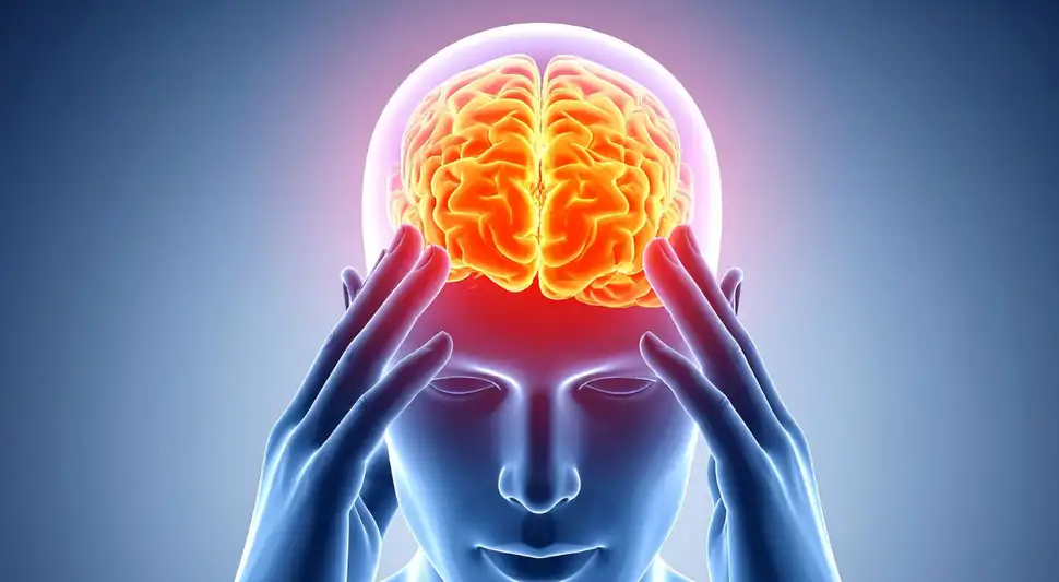 Alimentos que dañan el cerebro