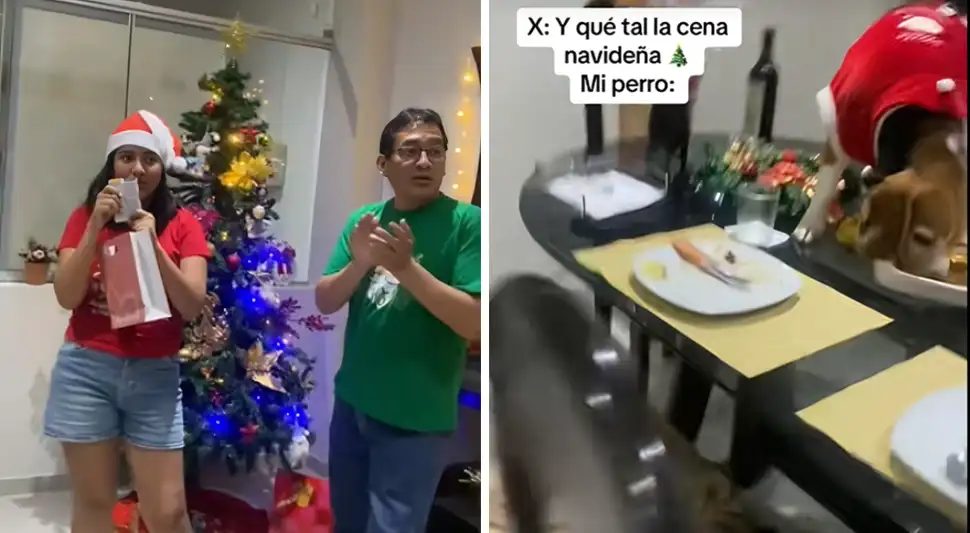 Perrito devora la cena navideña. Perrito devora la cena navideña.