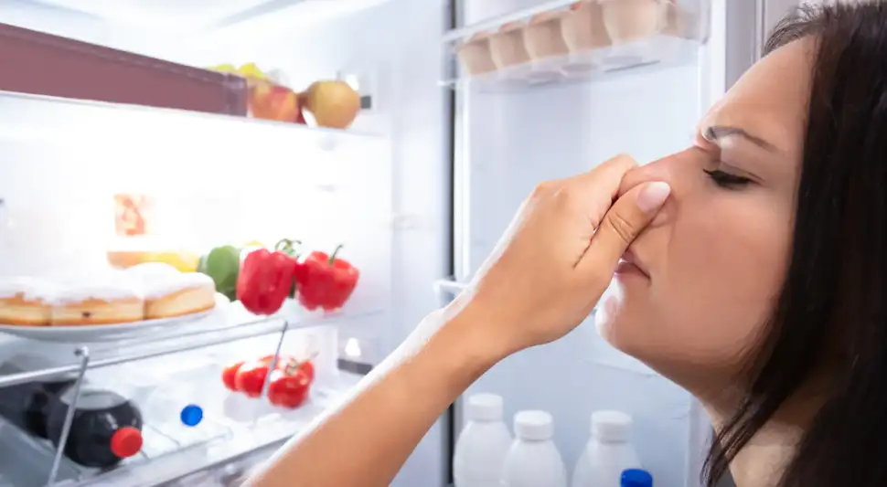 Mal olor refrigeradora Mal olor refrigeradora