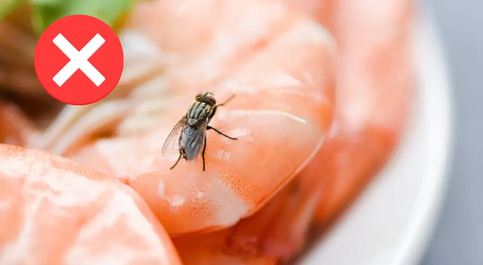 Cómo evitar las moscas en la cocina durante este verano con un método natural