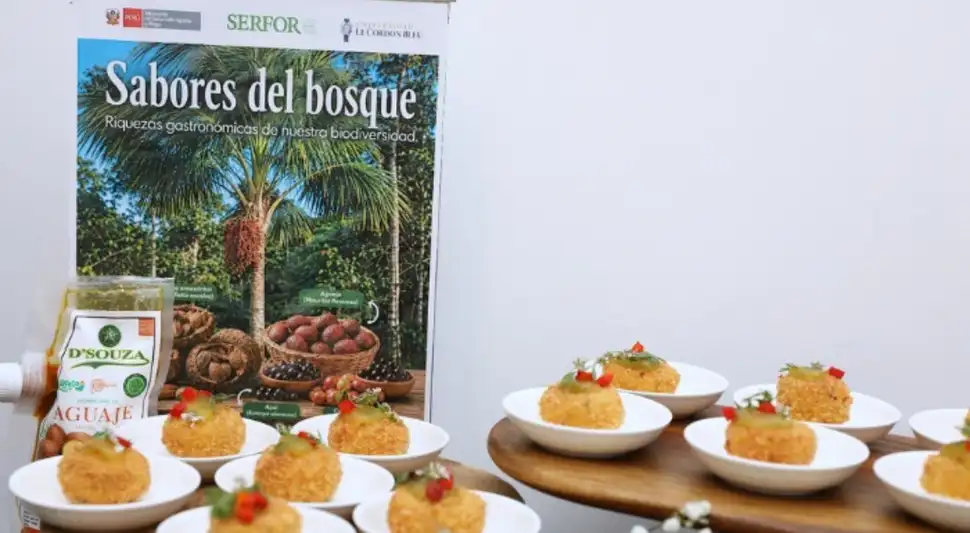El aguaje de Loreto destaca por su valor gastronómico y su potencial para generar oportunidades sostenibles. Foto: Gob.pe