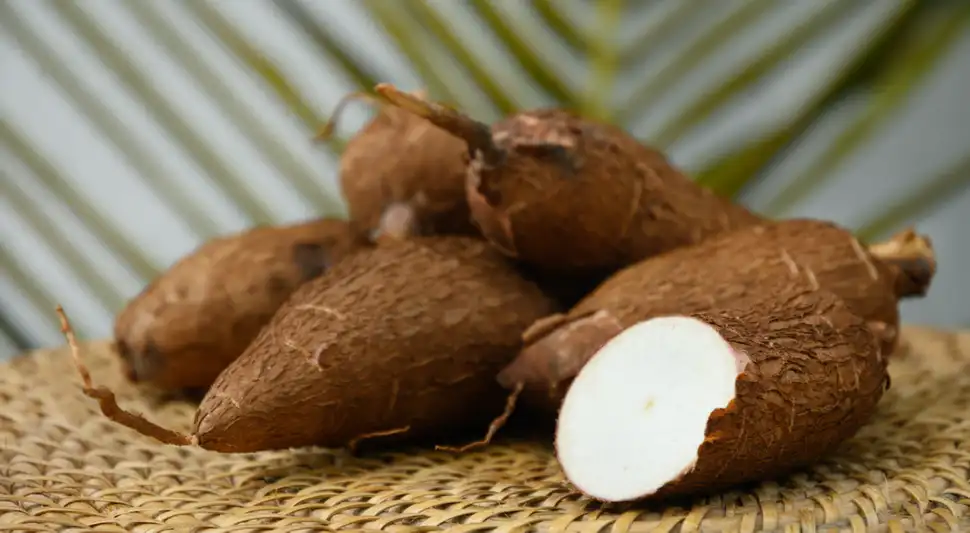 Conservar bien la yuca con cáscara ayuda a tenerla lista para ablandarla cuando quieras cocinarla. Foto: IA