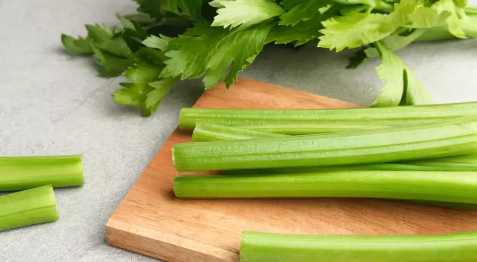 Guarda el apio seco y bien protegido en el refrigerador para ayudar a mantener su textura crujiente. Foto: Envato Guarda el apio seco y bien protegido en el refrigerador para ayudar a mantener su textura crujiente. Foto: Envato