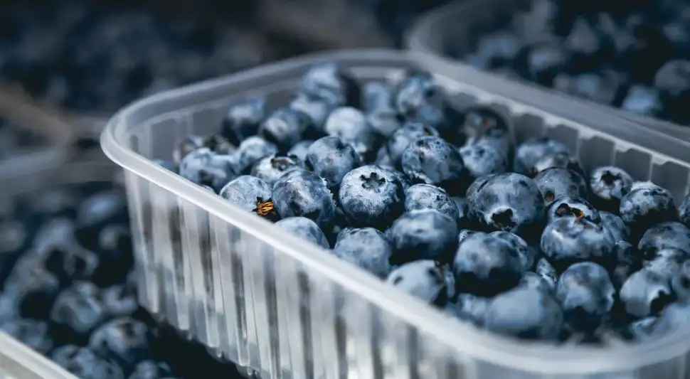 La piel delicada de los arándanos hace importante manipularlos con cuidado antes de lavarlos, secarlos y congelarlos. Foto: Envato